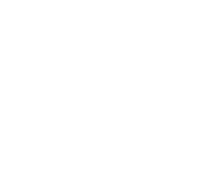dpp logo